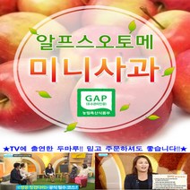 세척 알프스오토메(미니사과) 루비에스 제과점 데코용 2kg, 미니사과 스몰과 데코용 (25-30g)