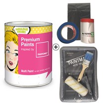 노루페인트 프리미엄 팬톤페인트 멀티용 4L 풀세트, 무광 11-0602 Snow white