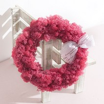 가성비 좋은 꽃송이이끼 세일 중 알뜰하게 구매할 수 있는 1위 상품