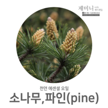 [제미니상사] 천연에센셜오일 아로마테라피 소나무 파인(pine), 1개, 100ml