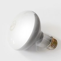 일광 반사형전구 60W 100W E26, 100W_전구색(노란빛)