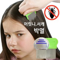 레노비 스테인레스 머릿니빗 서캐빗 헤어브러쉬 고급형, 1개, 01.고급형(스테인레스머릿니빗)