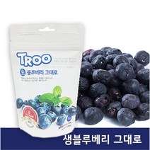 트루나스 TROO 동결건조 과일칩 9종 중 택1, 1팩, TROO 생블루베리 그대로