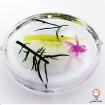 사이언스존 [바다화석 만들기 5인용] 4학년 과학실험 과학교구 과학실험키트 창의력 학습교구