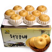 소담촌 2022 수확 햇배(가정용/흠과), 1박스, 15kg(36~40과)/랜덤과