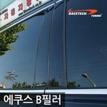 레이스텍 에쿠스 B필러 기둥몰딩 미러플레이트(6p), 에쿠스 B필러(6p)