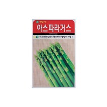 아스파라거스씨앗 70립, 1개