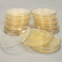 세균배양배지(일반세균), 10개