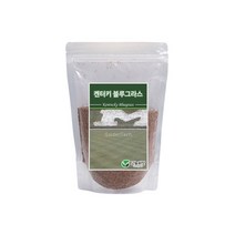 양잔디씨앗 켄터키블루그라스 500g, 1개