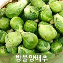 국산 방울양배추 1kg - 미니양배추 두리반농산, 1박스