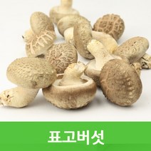 자체브랜드 생표고, 생표고버섯(중급)1kg
