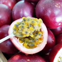 꿈에그린농장 국산 패션후르츠 백향과 생과 1kg, 1팩