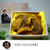 약용 상황버섯 상품 뽕나무 상왕버섯 목질진흙버섯 차 고급 귀빈 선물 무농약 친환경인증 추천 300g