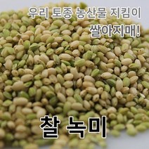 2022년 찰녹미 국산 녹미 쌀아지매, 1개, 5kg(진공)