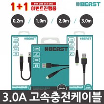 샵비스트 3.0A 고속충전케이블 1+1, 1개, 09-02.샵비 8핀젠더+C타입젠더