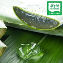 무농약 알로에 베라 3kg(혼합), 1개, 3kg