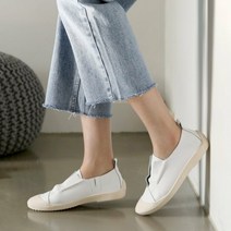 컬러퍼플 유러피안 레이븐