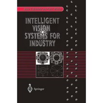 Intelligent Vision Systems for Industry Paperback, Springer