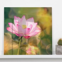 꾸밈 부귀의 상징 연꽃 아크릴액자 ch873, 타입4
