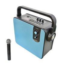 DENICS 120W 충전식 휴대용 강의용 무선마이크 앰프스피커 DY-301NW 이동형 앰프, 핸드마이크