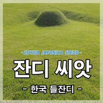 광림아그로 한국잔디씨앗 20g(1제곱미터용)잔디씨 산소 정원 공원 들 종자 묘지, 1개