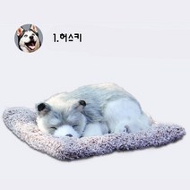 김가네잡화 숯먹은 진짜같은 강아지 미세먼지 악취제거