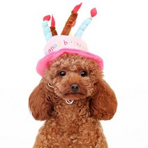 쭈쭈야 강아지 생일 축하 모자, 핑크