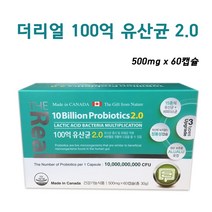 포스트바이오틱스 신바이오틱스 프로바이오틱스 프리바이오틱스 생유산균 유해균감소 유산균배양건조물, 2박스, 500mg