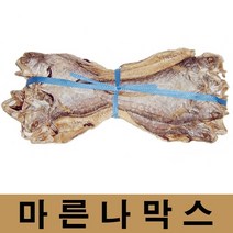 붉은메기 나막스, 10마리, 0.8kg