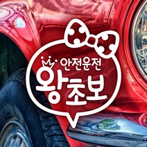 제제데코 18D103 문구리본왕초보안전운전, 화이트