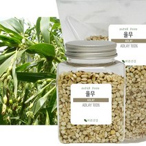 바른건강 영양소가 풍부한 국산 율무(백미) 율무 백미 국내산, 1개, 250g