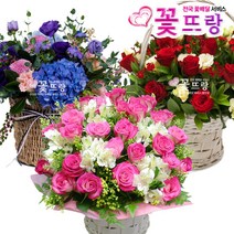 꽃뜨랑 축하꽃바구니 생일선물 축하선물 기념일 전국당일꽃배달, C03 정열