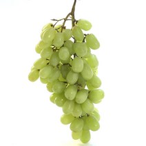 수입포도 3kg 8kg, 1박스, 페루산 청포도 8.2kg