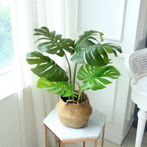 조아트 인조나무 조화나무 극락조 아레카야자 몬스테라 알로카시아 9종, 몬스테라 68cm