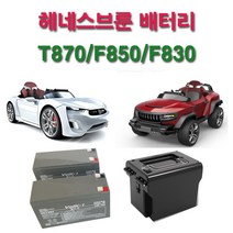 헤네스 헤네스T870F850F830전동차배터리, 12V9AH(2개)고용량