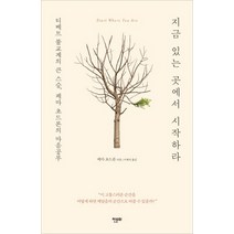 지금 있는 곳에서 시작하라:티베트 불교계의 큰 스승 페마 초드론의 마음공부, 한문화