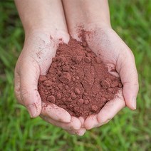 파워푸드 국산 아로니아분말 400g 건조 말린 약초 약재 국내산 차 한방, 13Z3_국산아로니아분말 200gX2