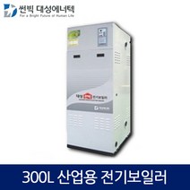 대성에너텍 축열식 전기보일러 산업용 300L, DBE-15
