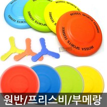 로싸 우야몰 원반 애견 플라잉디스크 로싸원반 부메랑 훈련 폼원반 프리스비, 05.플라스틱 칼라원반1개-색상랜덤, 1개