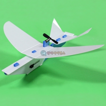 비거 전동글라이더