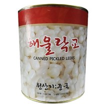 민트딜 삼도 락교 SS 식자재도매 일본식재료 3KgX1통, 본상품