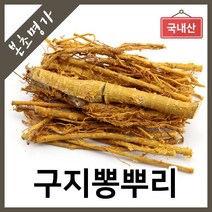 본초명가 구지뽕나무뿌리 구찌뽕나무, 1개, 300g