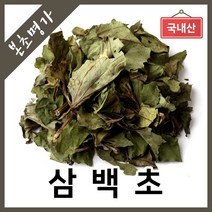 본초명가 삼백초 말린삼백초, 1개, 300g