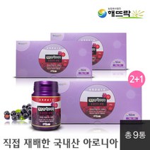 해가 찬 아로니아 동결건조 분말 30g 강원도 화천, 9통