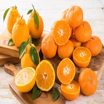 맛있는 제주 감귤 밀감, 10kg 소과(2S), 1박스