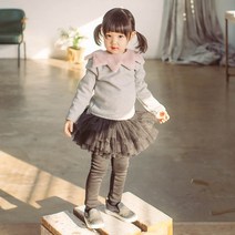 하우웰 슈콧치마레깅스 속기모