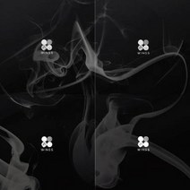 1CD_방탄소년단(BTS)-정규2집[WINGS](모든버젼선택가능+폴라로이드1종랜덤온팩)/피땀눈물/정국/지민/뷔/랩몬스터/슈가/진/제이홉, [방탄-G버젼]