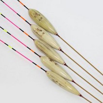 원용 뚱딴지 금란 순부력230%이상, 70cm