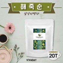 해죽순 삼각티백차 20T 티백/차/커피/음료/티타임/우엉차/페퍼민트차/보이차/루이보스차/얼그레이티, 단일 수량, 단일 구성품