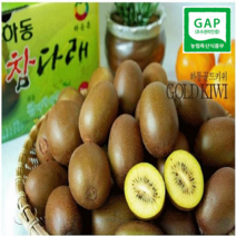 하동 참다래농원 골드키위 (소~왕특) (2kg 3kg 5kg ), 1box, 5kg (특과) 41개~50개